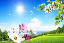 الأرصاد: غدا طقس معتدل.. والعظمى بالقاهرة 30 درجة