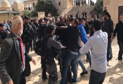 قوات الاحتلال تعتدي على حراس المسجد الأقصى