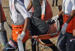 16 شهيدا ومئات الإصابات بالرصاص والاختناق في مليونية الزحف (محدث)