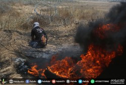 حتى اللحظة.. 41 شهيدا و1703 جرحى في مليونية الزحف