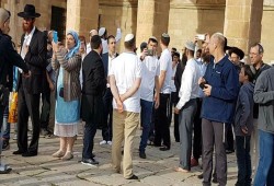 56 مستوطنًا صهيونيا يقتحمون الأقصى والاحتلال يعتقل أحد حراسه