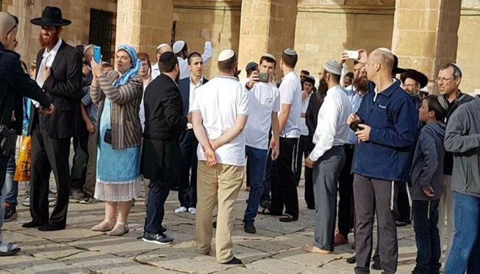 56 مستوطنًا صهيونيا يقتحمون الأقصى والاحتلال يعتقل أحد حراسه