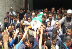 مظاهرة في ملبورن الأسترالية للتنديد بالمجزرة الإسرائيلية بغزة