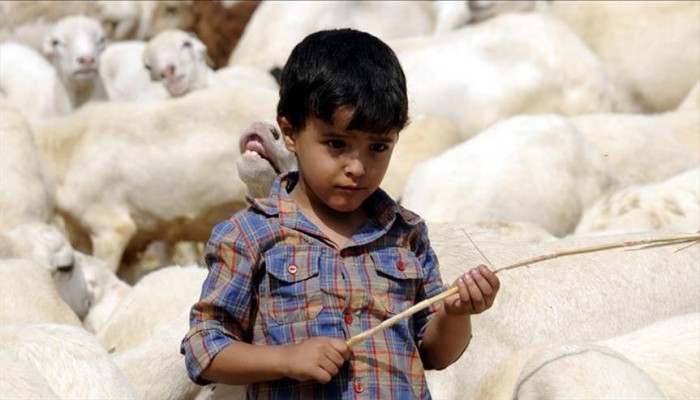 اليمن.. انقطاع المرتبات يقود 6 ملايين موظف للفقر المدقع