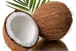 8 فوائد صحية لتناول جوز الهند في رمضان