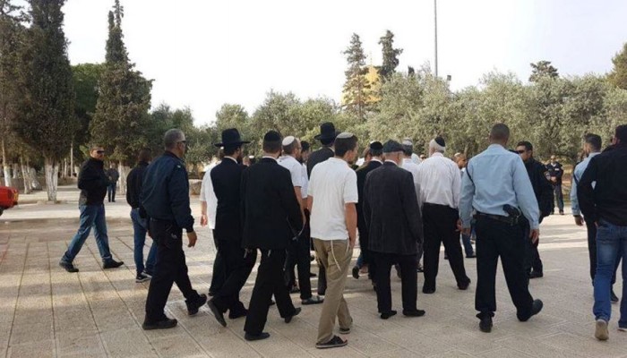 مستوطنون يقتحمون الأقصى وسط قيود مشددة على الفلسطينيين