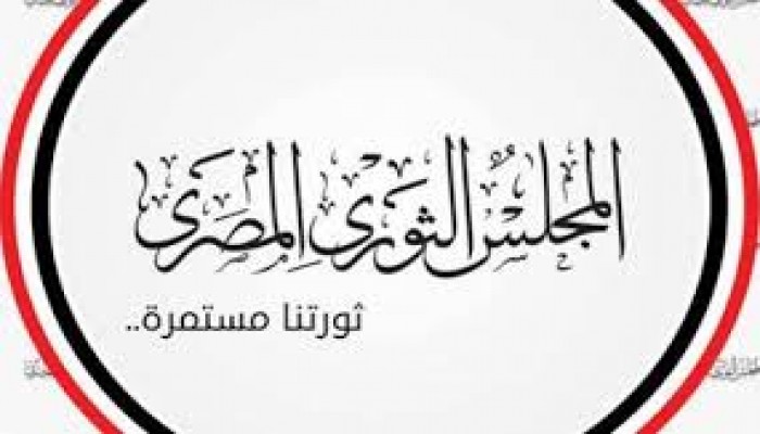 المجلس الثوري يدعو للتحرك الجاد لإنقاذ مصر من "الهاوية"