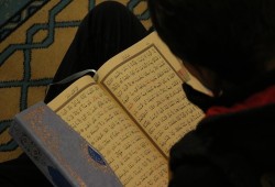 "الديانة التركي" يوزع 55 ألف مصحف في 4 قارات