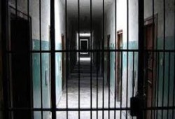 سجن طره يطلق الكلاب البوليسية على المعتقلين.. واستغاثة لإنقاذهم