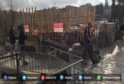 الاحتلال يغلق باب العامود بالحواجز الحديدية