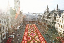 المئات يتظاهرون في بلجيكا ضد مقتل طفلة مهاجرة على يد الشرطة