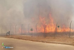 اندلاع الحرائق بأحراش مستوطنتين شرق غزة بفعل طائرات ورقية