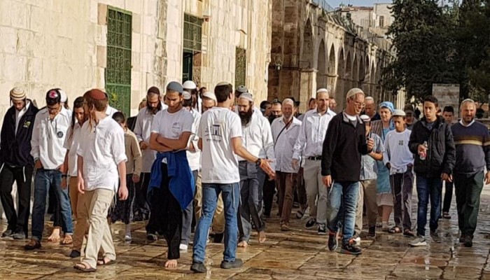 عشرات المستوطنين يدنسون باحات الأقصى