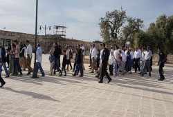 82 مستوطناً وشرطياً إسرائيلياً يقتحمون المسجد الأقصى