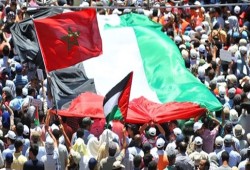 ملك المغرب يقر إرسال مستشفى ميداني لغزة