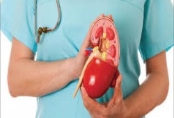 ما الطعام الآمن لمرضى الكلى برمضان