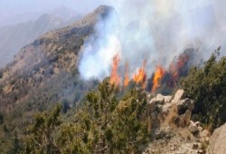 اندلاع حريق جديد بغلاف غزة بفعل طائرة ورقية