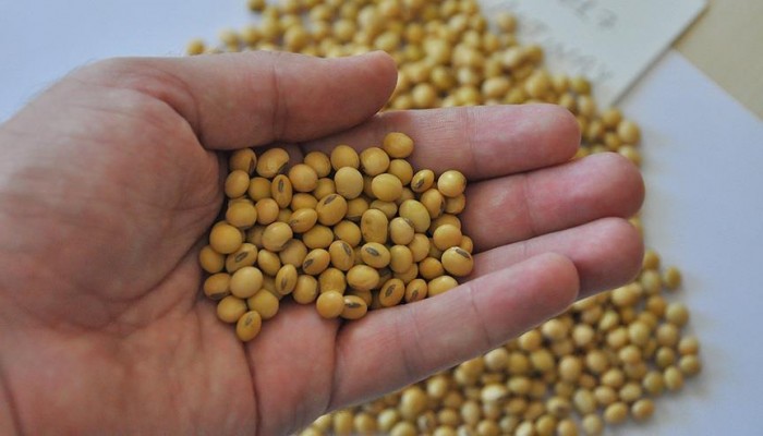 السودان: منع استيراد الفول المصري بنهاية 2018