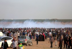 دعوات للمشاركة والنفير بـ"جمعة من غزة إلى حيفا" غدًا