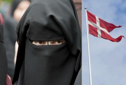 البرلمان الدنماركي يحظر ارتداء النقاب والبرقع في الأماكن العامة