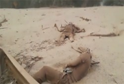 شاهد: 25 قتيلا مع ثوران بركان في غواتيمالا