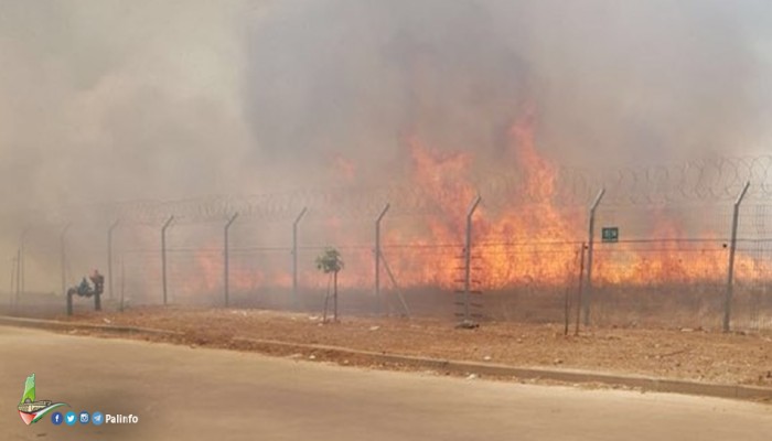 اندلاع 3 حرائق في مستوطنات "الغلاف" بفعل الطائرات الورقية