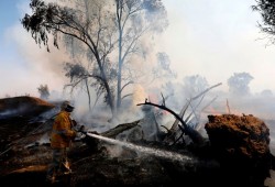 تجدد الحرائق في مستوطنات غلاف غزة بفعل الطائرات الورقية