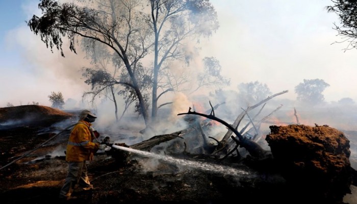 تجدد الحرائق في مستوطنات غلاف غزة بفعل الطائرات الورقية