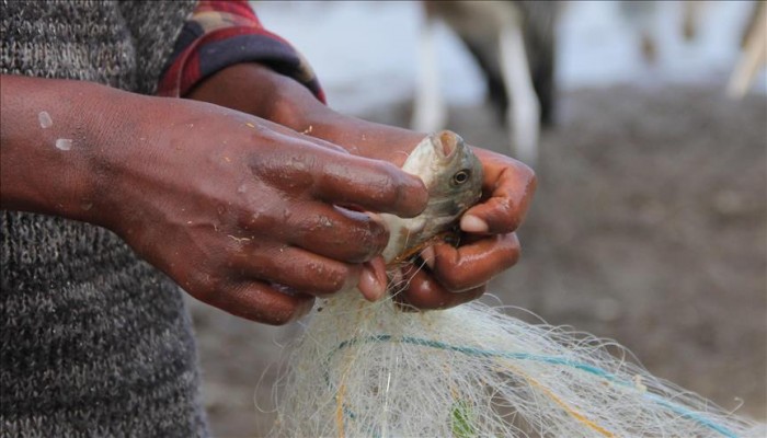 إريتريا تفرج عن 37 صيادا يمنيا وما زالت تحتجز آخرين