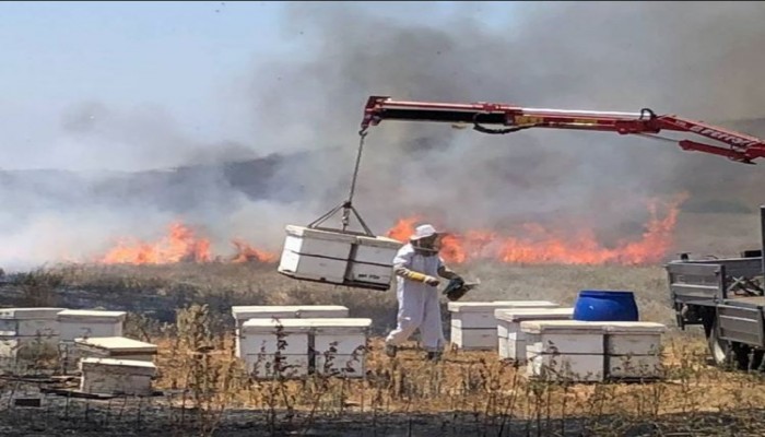 الطائرات الورقية الحارقة تُشعل 4 حرائق في غلاف غزة