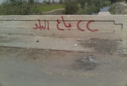 بالصور.. جداريات ضد الانقلاب بالشرقية