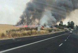 15 حريقًا في مستوطنات "غلاف غزة" بفعل البالونات الحارقة