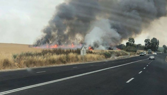 15 حريقًا في مستوطنات "غلاف غزة" بفعل البالونات الحارقة