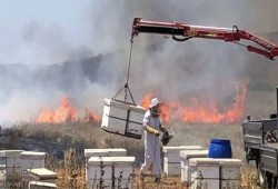 16 حريقاً في غلاف غزة منذ صباح اليوم
