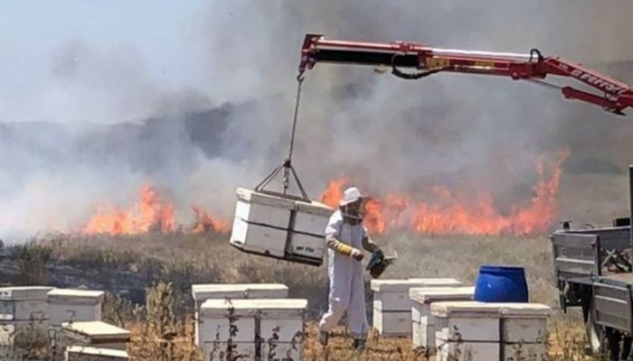 بفعل البالونات .. 26 حريقًا بمستوطنات غلاف غزة