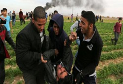 5 إصابات برصاص الاحتلال شرق رفح وجباليا