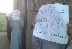 فعالية ثوار كفر الشيخ في ذكرى الانقلاب