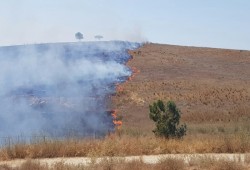 8 حرائق في "غلاف غزة" والنيران تقترب من منزل "شارون" ومزرعته