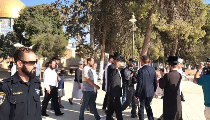 134 مستوطنا إسرائيليًّا يقتحمون المسجد الأقصى