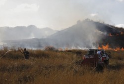 طائرات غزة الورقية تحرق 600 دونم للمستوطنين في يوم واحد