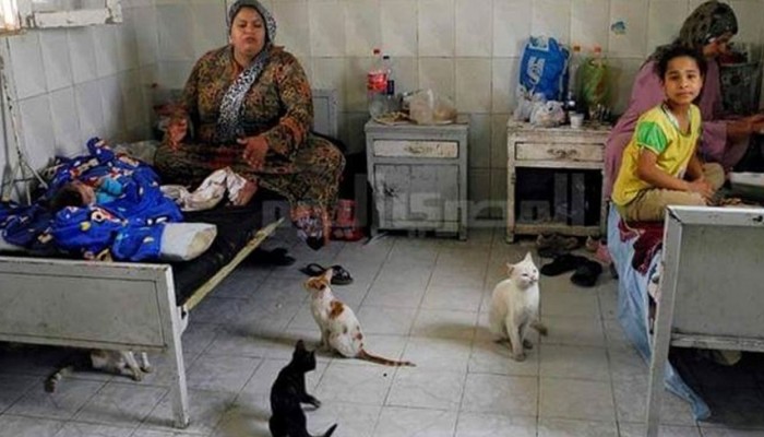 مكافأة القضاء ومزايا العسكريين مقابل تقليص ميزانيات الصحة..هكذا تدار مصر بعهد الانقلاب