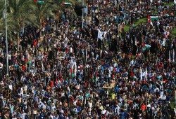 الجهاد: قرار إيرلندا مهم لتعرية وتجريم الاحتلال