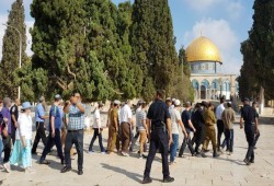 اعتداءات على الأقصى وتحذير من حفريات أسفله