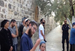 الدعوة للنفير العام بالقدس للتصدي لاقتحام واسع للمستوطنين