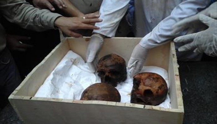 "شهامة" جماجم تابوت الإسكندرية تثير سخرية المصريين