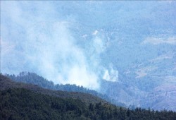 اليونان.. إجلاء المئات جراء حرائق التهمت عشرات المنازل غربي أثينا