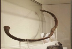 تعرف على اول سلاح استخدمه المسلمون