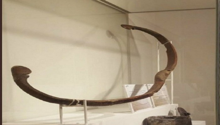 تعرف على اول سلاح استخدمه المسلمون