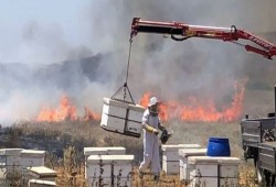 5 حرائق جديدة في "غلاف غزة" بفعل البالونات الحارقة