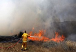 13 حريقًا في مستوطنات "غلاف غزة" بسبب بالونات العودة